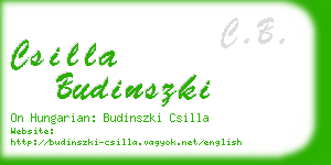 csilla budinszki business card